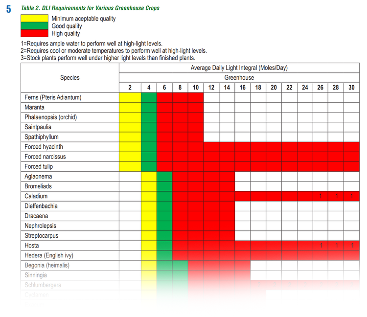 DLI Part 2: Measuring DLI at Home – House Plant