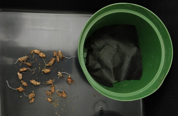 My standard potting procedure: cut a piece of landscape fabric to cover the drainage holes of a plastic nursery pot.  Landscape fabric is cheap, easily cut to size, and does a good job of letting water through but not soil.