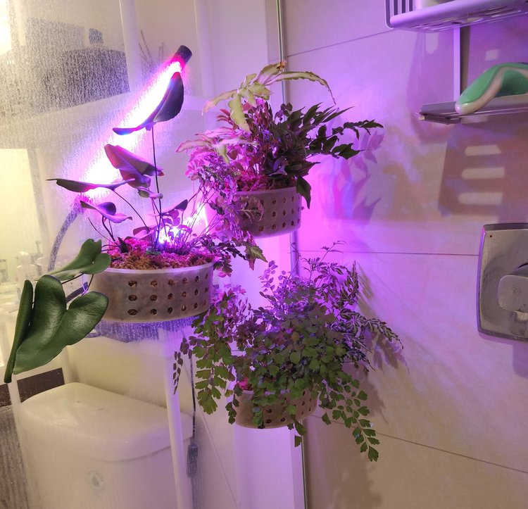 LED Lighting: because of the shower glass, I could safely position the LED light on the outside of the shower and still deliver light to the plants on the inside.