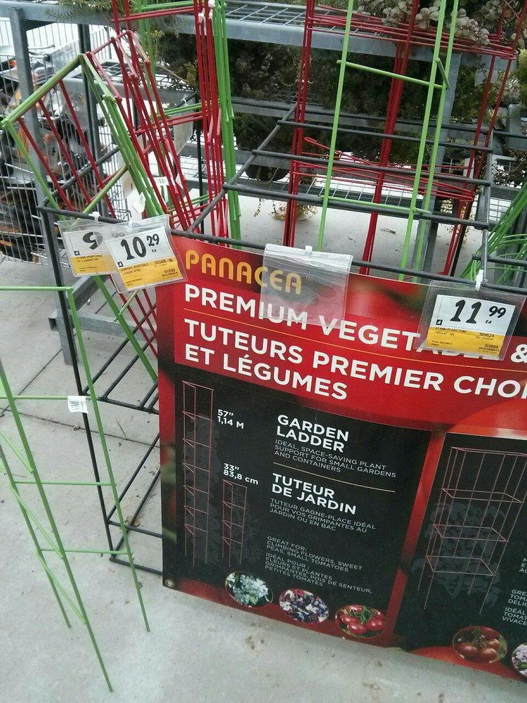 October 11, 2015 - just like kids outgrow their clothing, monstera has outgrown her first trellis. I'm glad I decided to pick up one of these sturdy vegetable trellises before the winter since the big box stores close up their gardening centers - would have had to wait until spring! This was at Rona Home & Garden.