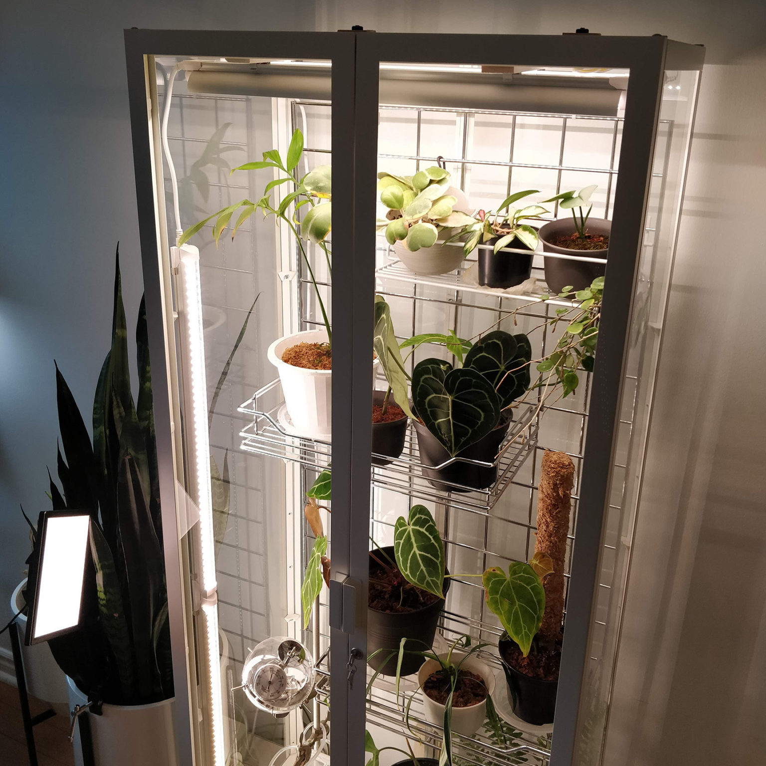 Ikea Greenhouse Mods House Plant Journal