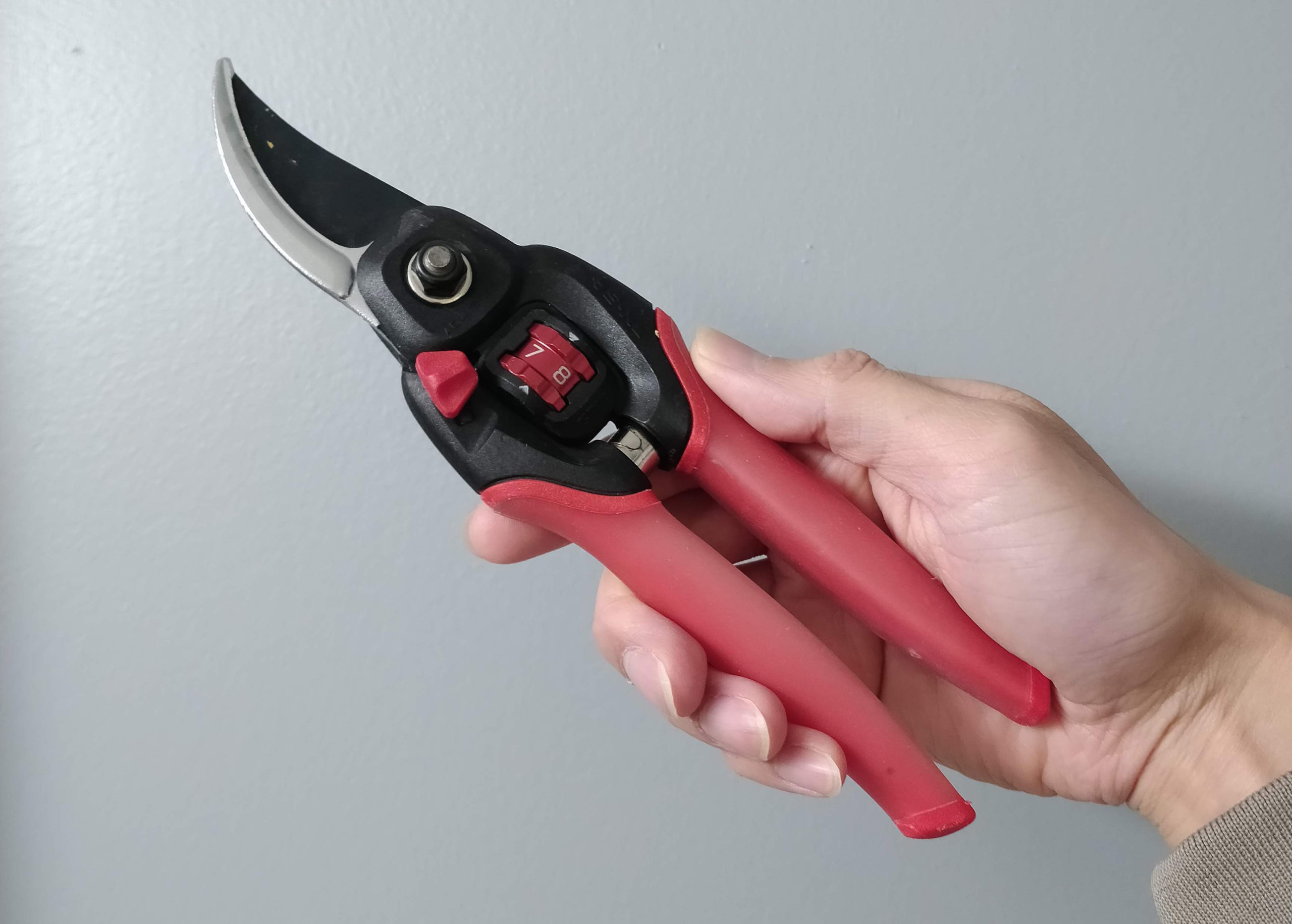 Must-Have Pruning Tools for Gardeners