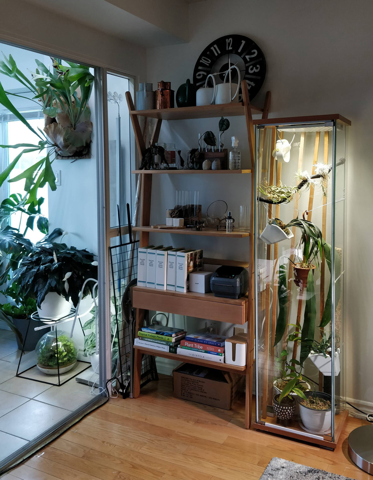 Ikea Greenhouse 2 Detolf Edition House Plant Journal