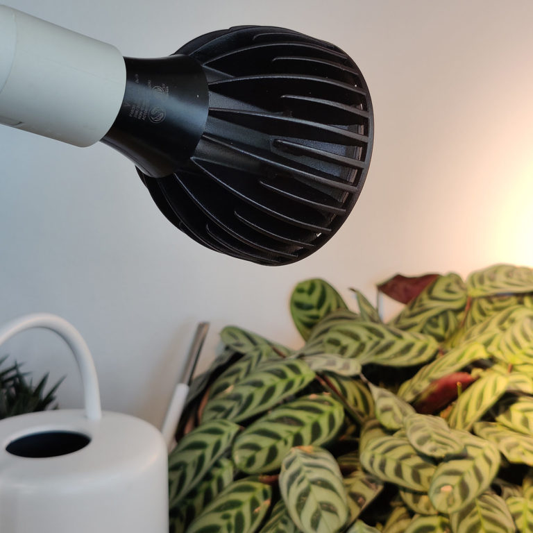 Grow Light Review Soltech Solutions Vita Grow Light House Plant Journal