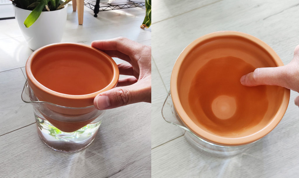 Terracotta vs. Ceramic Pots: Which is Better for Your Houseplants?
