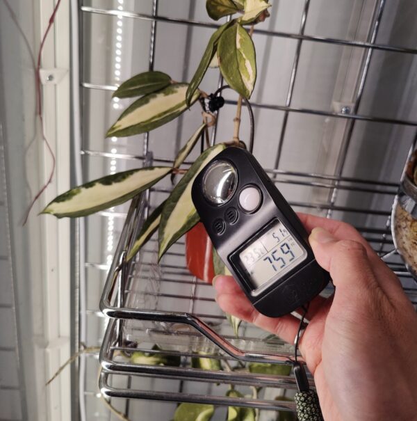 Is a grow light considered direct or indirect light? House Plant Journal