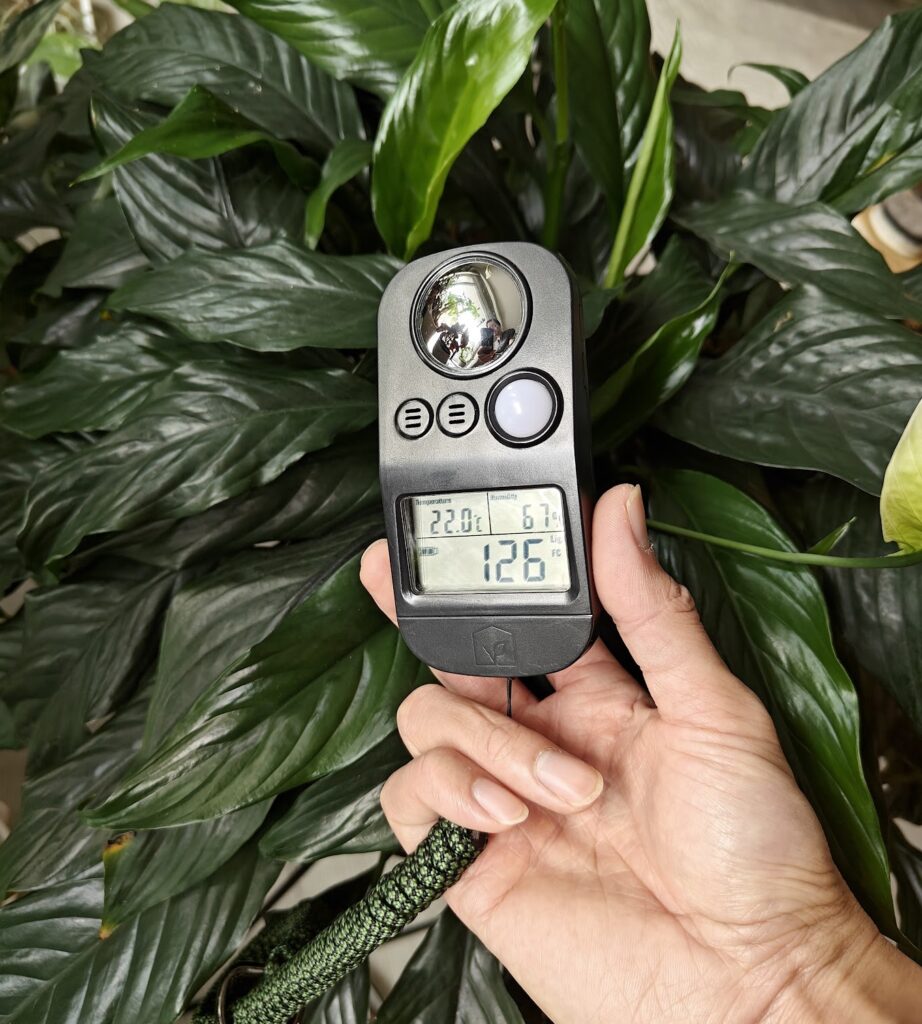 Light, Temperature, Humidity Meter for Houseplants