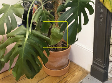 House Plant Journal – An Engineer's Approach to House Plants
